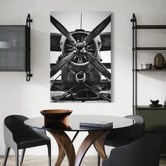 Cuadro decorativo canvas Biplano 001