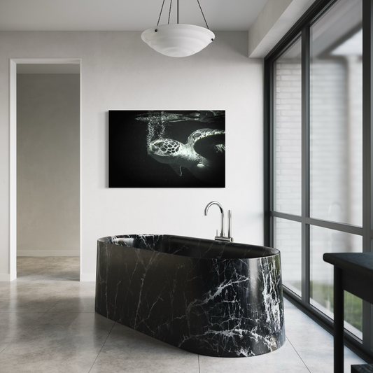 Cuadro decorativo canvas Tortuga 002