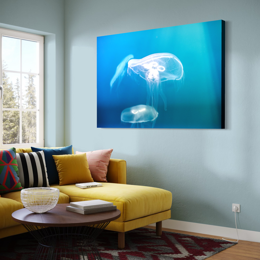 Cuadro decorativo canvas Medusas 001