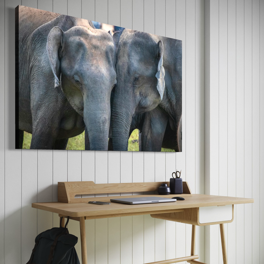 Cuadro decorativo canvas Elefantes 013