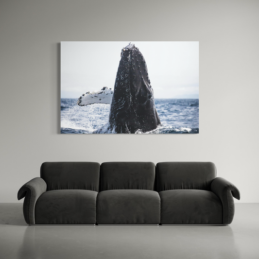 Cuadro decorativo canvas Ballena jorobada 001