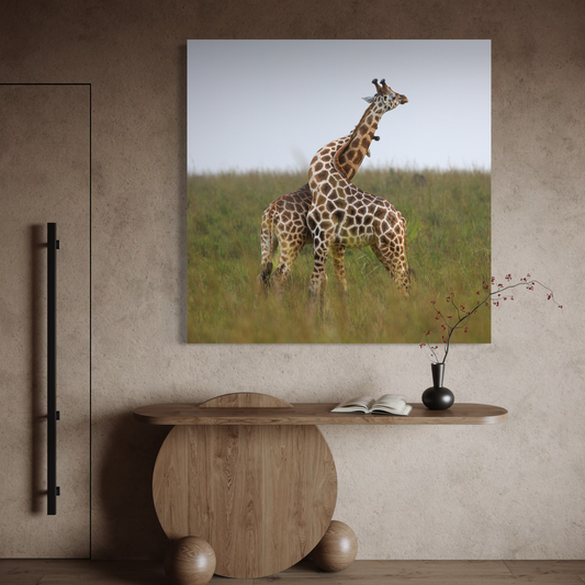 Cuadro decorativo canvas Abrazo de Jirafas