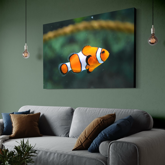 Cuadro decorativo canvas Pez payaso