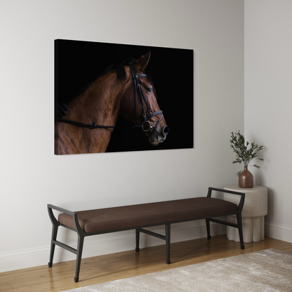 Cuadro decorativo canvas Caballo 002