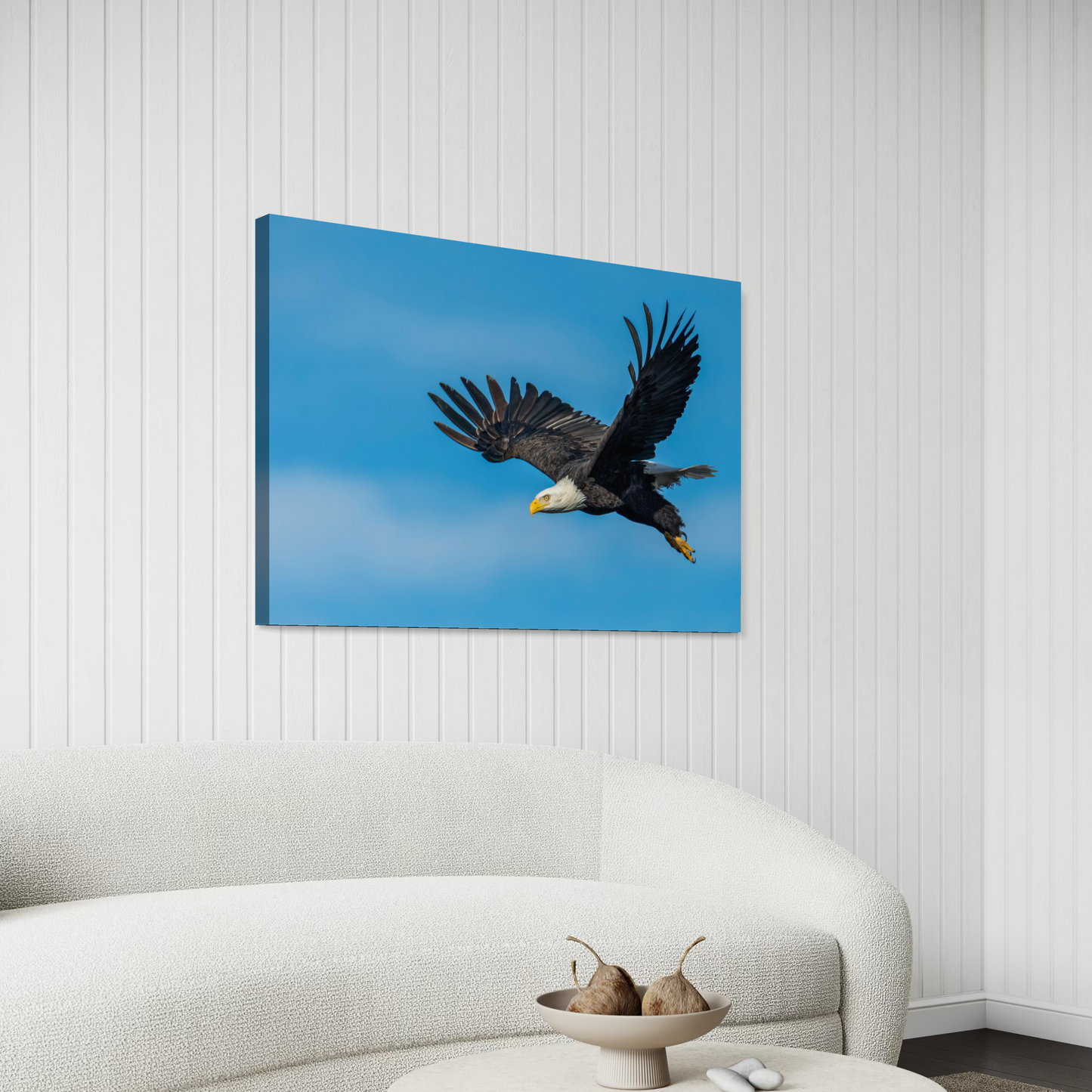 Cuadro decorativo canvas Águila 002