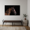 Cuadro decorativo canvas Caballo 002