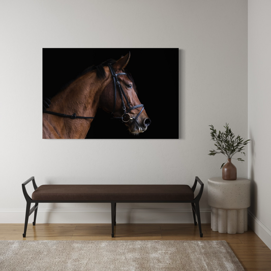 Cuadro decorativo canvas Caballo 002
