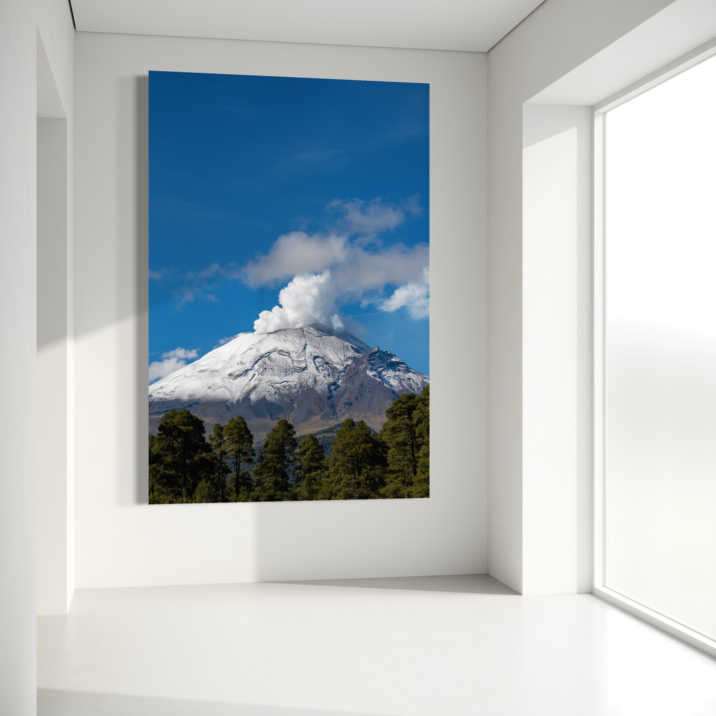 Cuadro decorativo canvas Popocatépetl 004