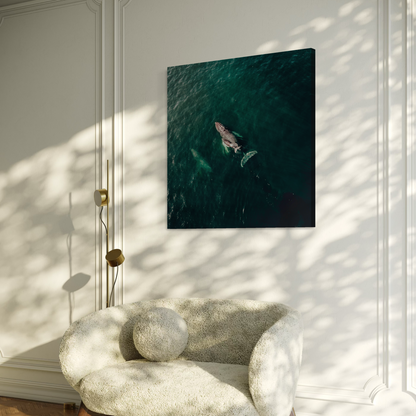 Cuadro decorativo canvas Ballena 003