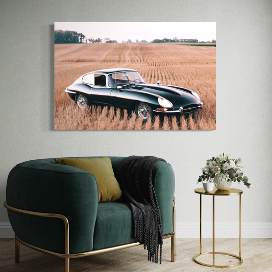 Cuadro decorativo canvas Jaguar E-Type Coupé 002