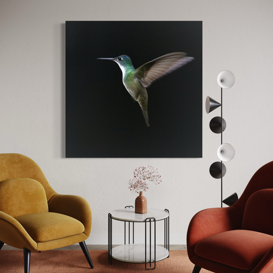 Cuadro decorativo canvas Colibrí 005