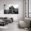 Cuadro decorativo canvas Zebras 001