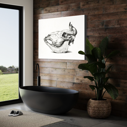 Cuadro decorativo canvas Craneo 001