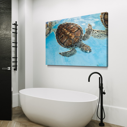 Cuadro decorativo canvas Tortuga 006