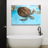 Cuadro decorativo canvas Tortuga 006