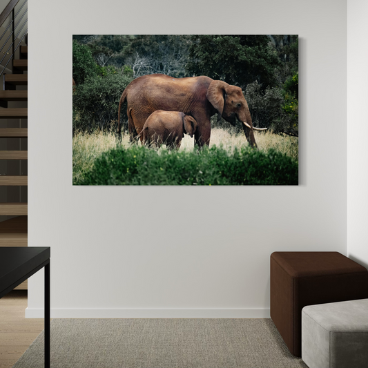 Cuadro decorativo canvas Elefantes 014