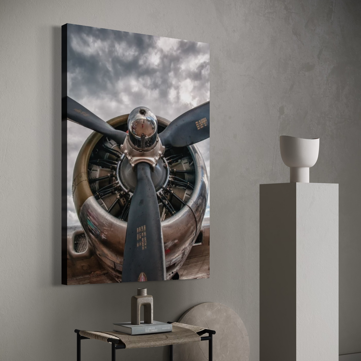 Cuadro decorativo canvas Biplano 002