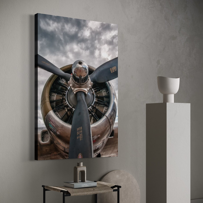 Cuadro decorativo canvas Biplano 002
