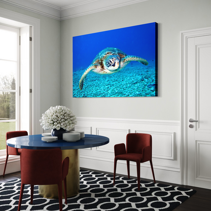 Cuadro decorativo canvas Tortuga 005
