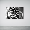 Cuadro decorativo canvas Zebra 005