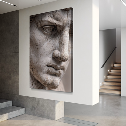 Cuadro decorativo canvas El David 010