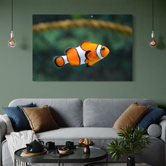 Cuadro decorativo canvas Pez payaso