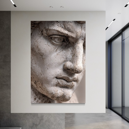 Cuadro decorativo canvas El David 010