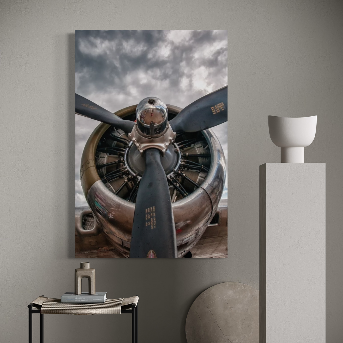 Cuadro decorativo canvas Biplano 002