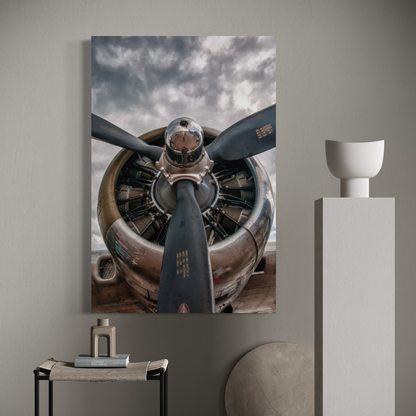 Cuadro decorativo canvas Biplano 002