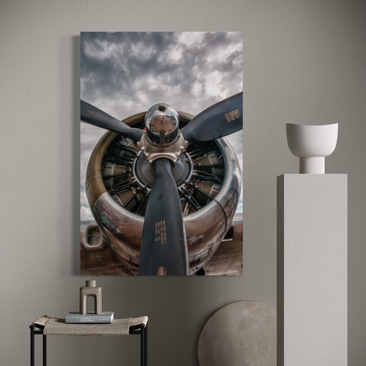 Cuadro decorativo canvas Biplano 002