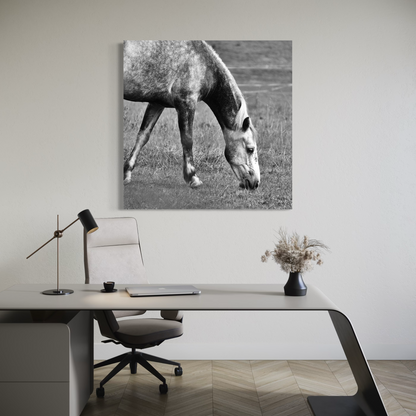 Cuadro decorativo canvas Caballo 006