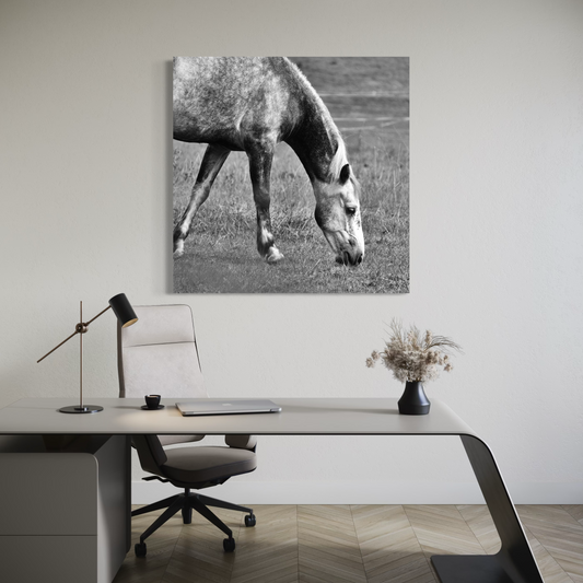 Cuadro decorativo canvas Caballo 006