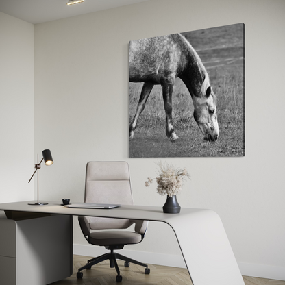 Cuadro decorativo canvas Caballo 006