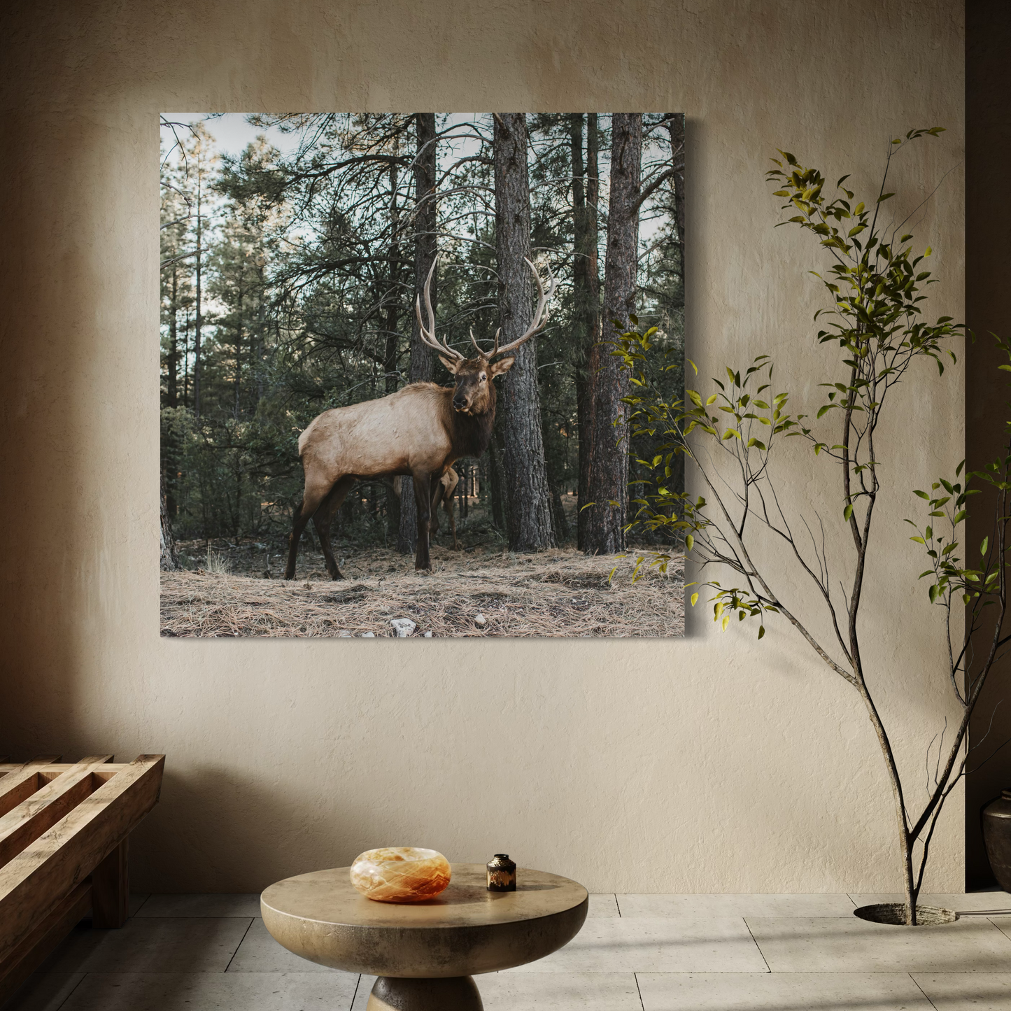 Cuadro decorativo canvas Alce 003