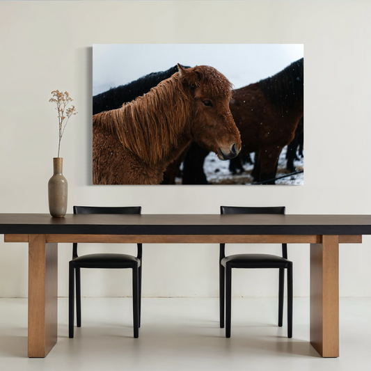 Cuadro decorativo canvas Pony 003