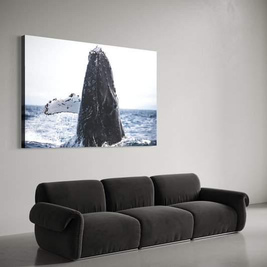 Cuadro decorativo canvas Ballena jorobada 001