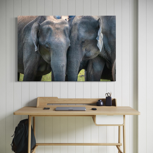 Cuadro decorativo canvas Elefantes 013